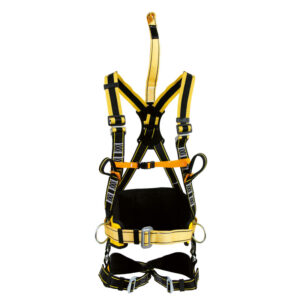 ARNES CAUREL  (COD.:80073)